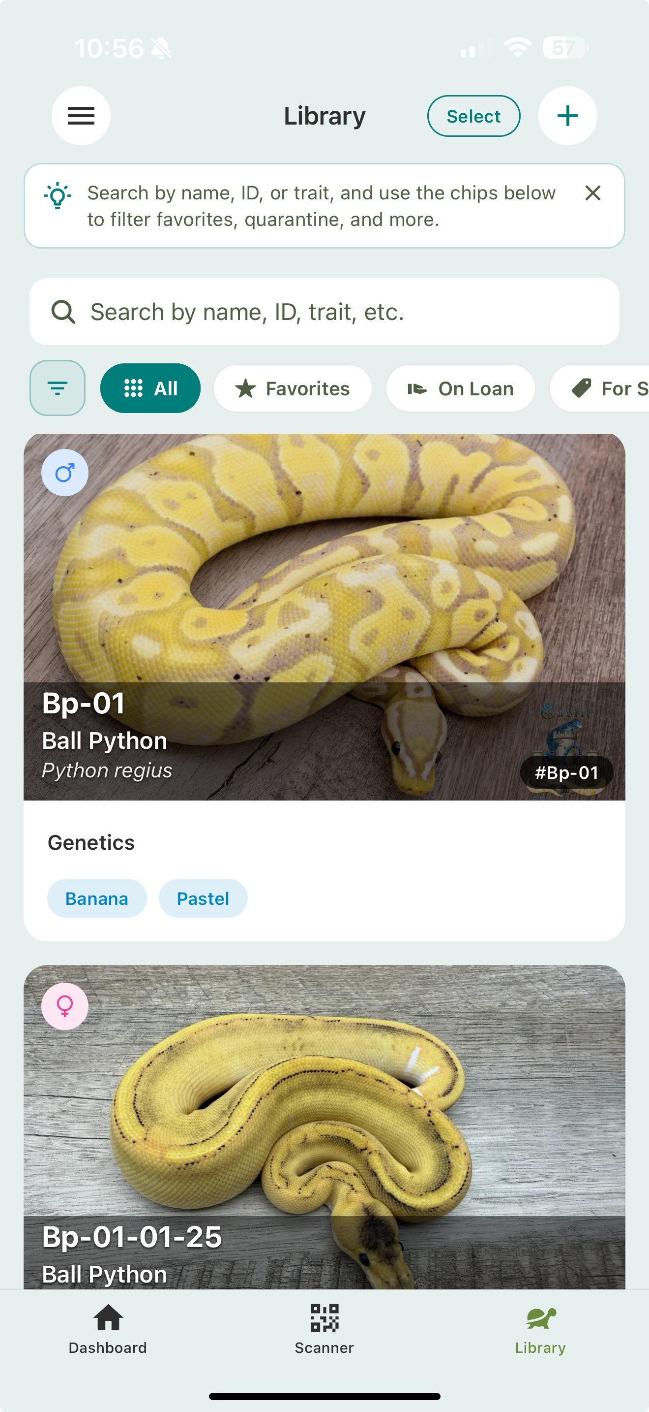 The Animal Library with a search bar, filter chips (All, Favorites, On Loan, For Sale), and animal cards showing photos, names, species, sex, and genetics pills.