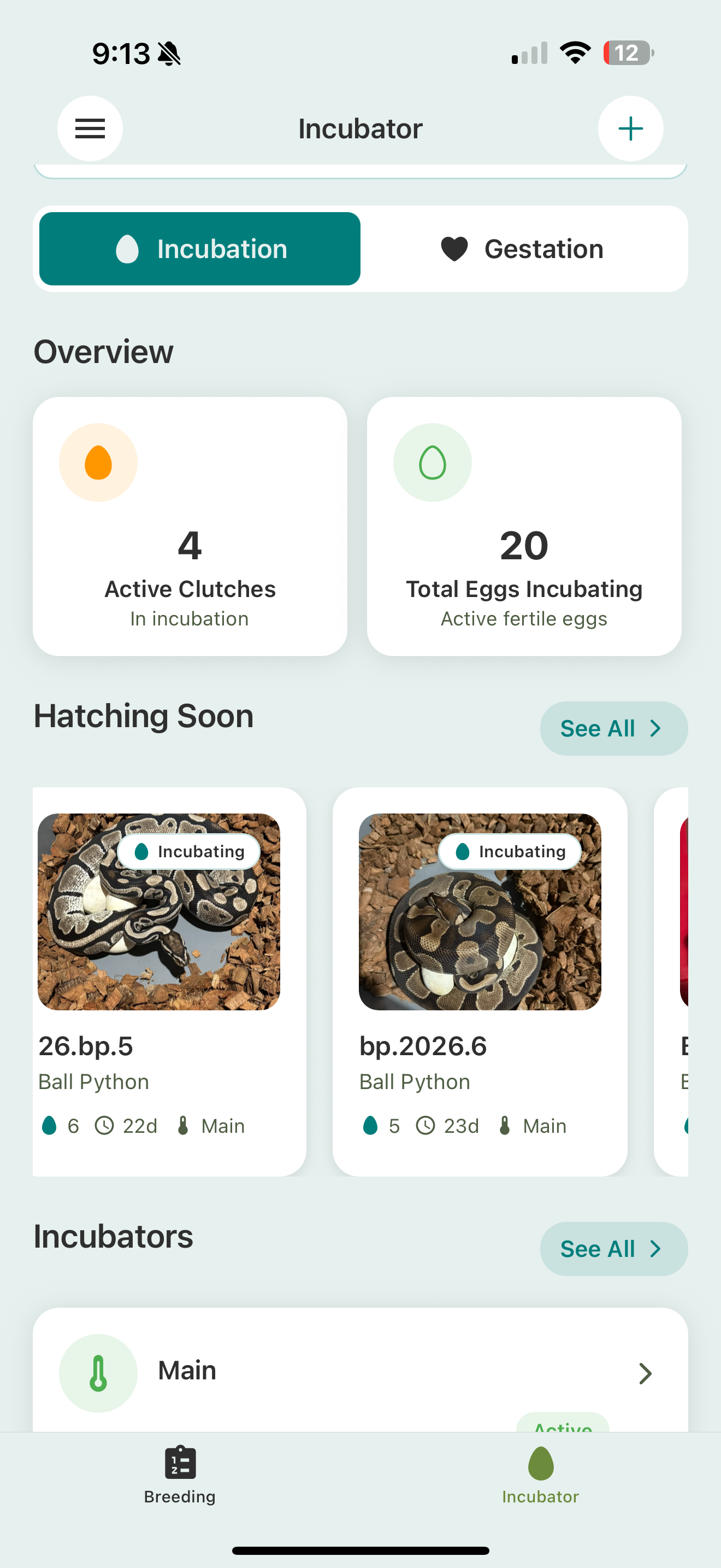 The Incubator's Incubation tab: an overview of active clutches and total eggs incubating, a Hatching Soon row of clutch cards with days-to-hatch, and an Incubators list.