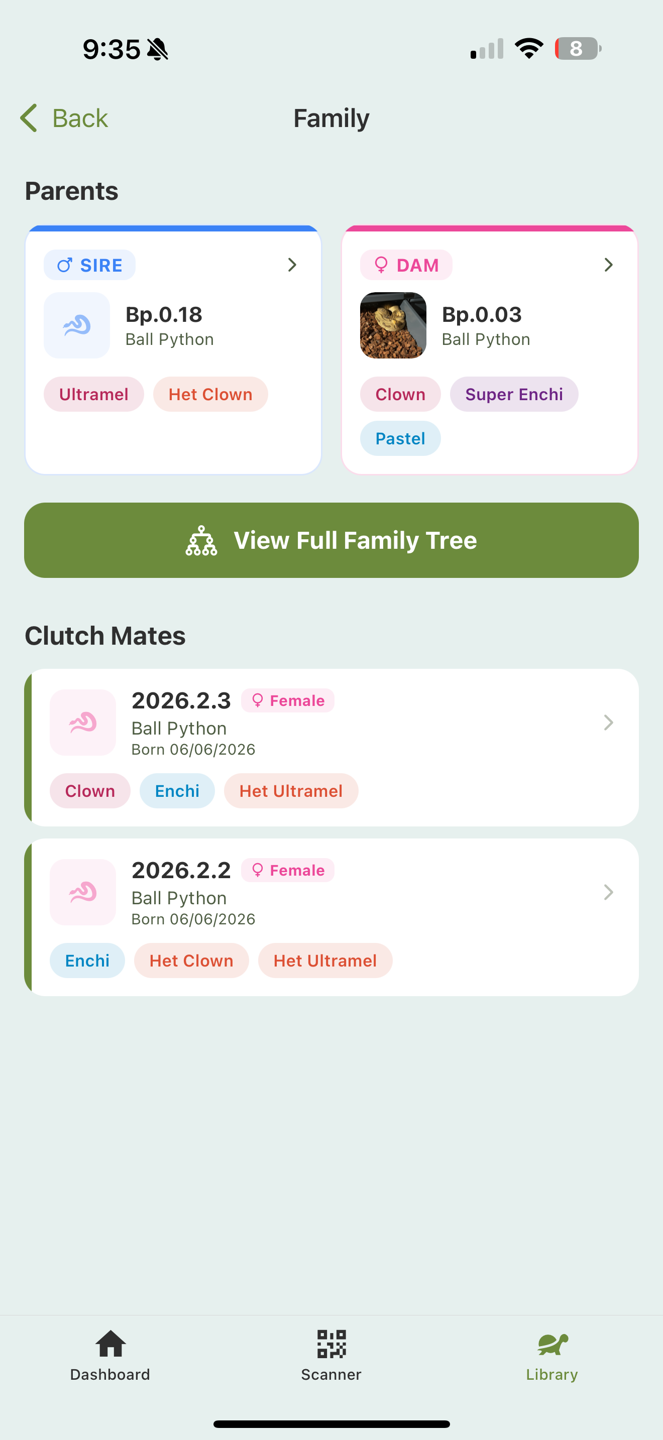 An animal's Family screen: a Parents section with sire and dam cards showing their traits, a View Full Family Tree button, and a Clutch Mates list of siblings with their sex, birth date, and traits.