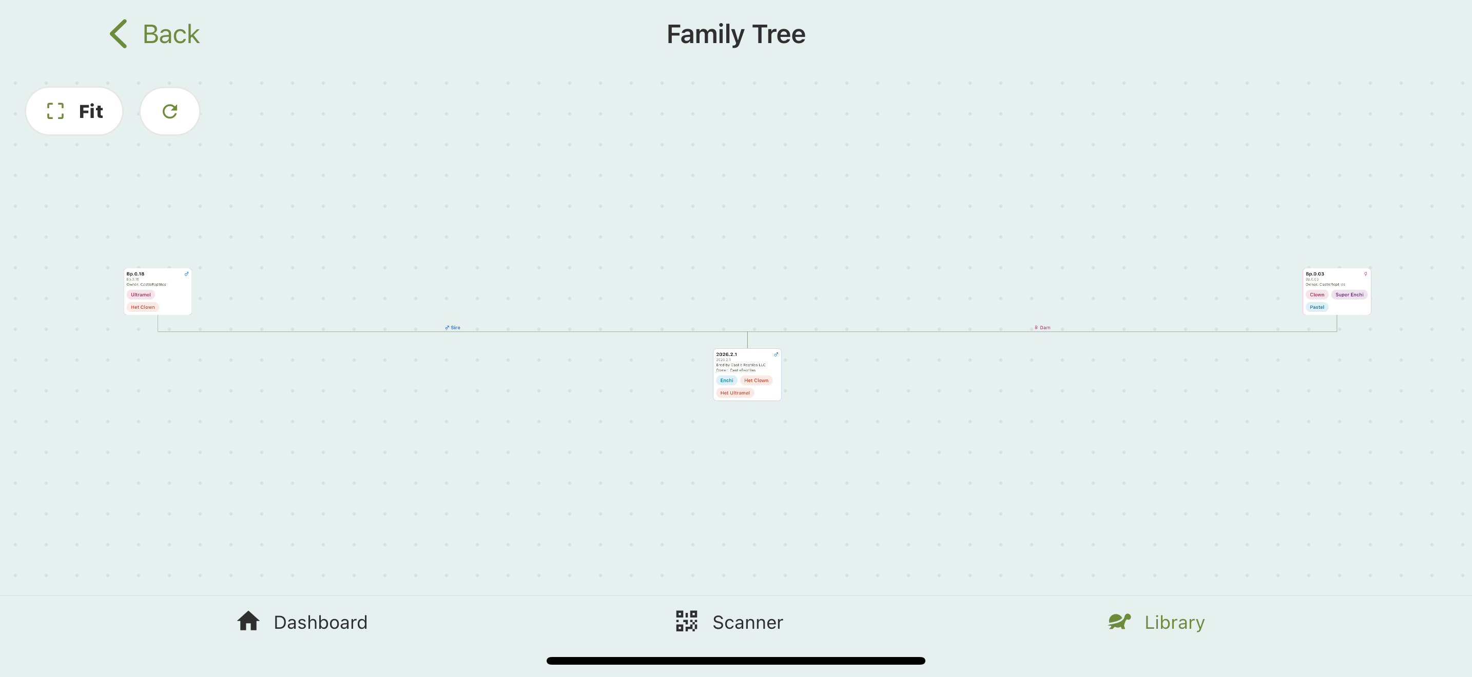 The Family Tree graph: an animal card in the center connected up to its sire and dam cards, on a pannable dotted canvas with Fit and refresh controls.
