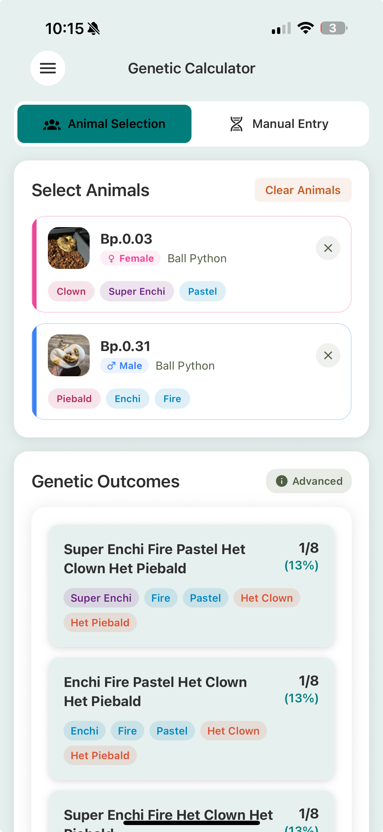 The Genetic Calculator with an Animal Selection / Manual Entry toggle, two selected parent cards (a female and a male) each showing their trait chips, and a Genetic Outcomes list below with each morph and its probability.
