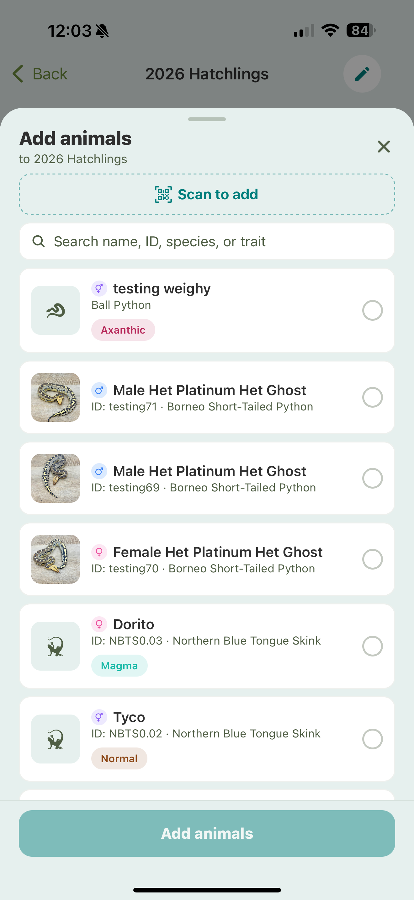 The Add animals sheet for a group, with a Scan to add button, a search field, and a scrollable checklist of animals each showing a photo, sex, species, and traits, above an Add animals button.