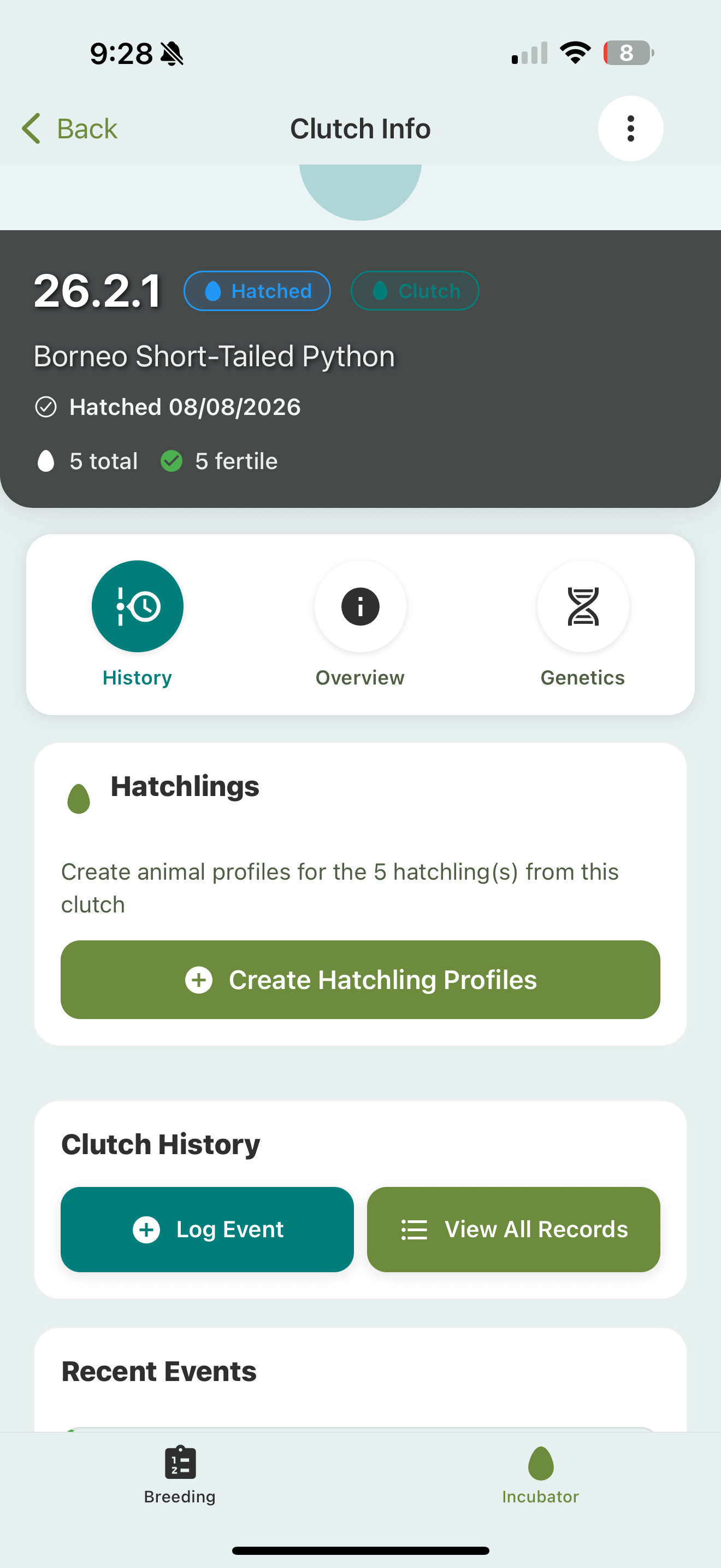 A hatched Clutch Info screen with a Hatchlings card reading 'Create animal profiles for the 5 hatchlings from this clutch' and a Create Hatchling Profiles button.
