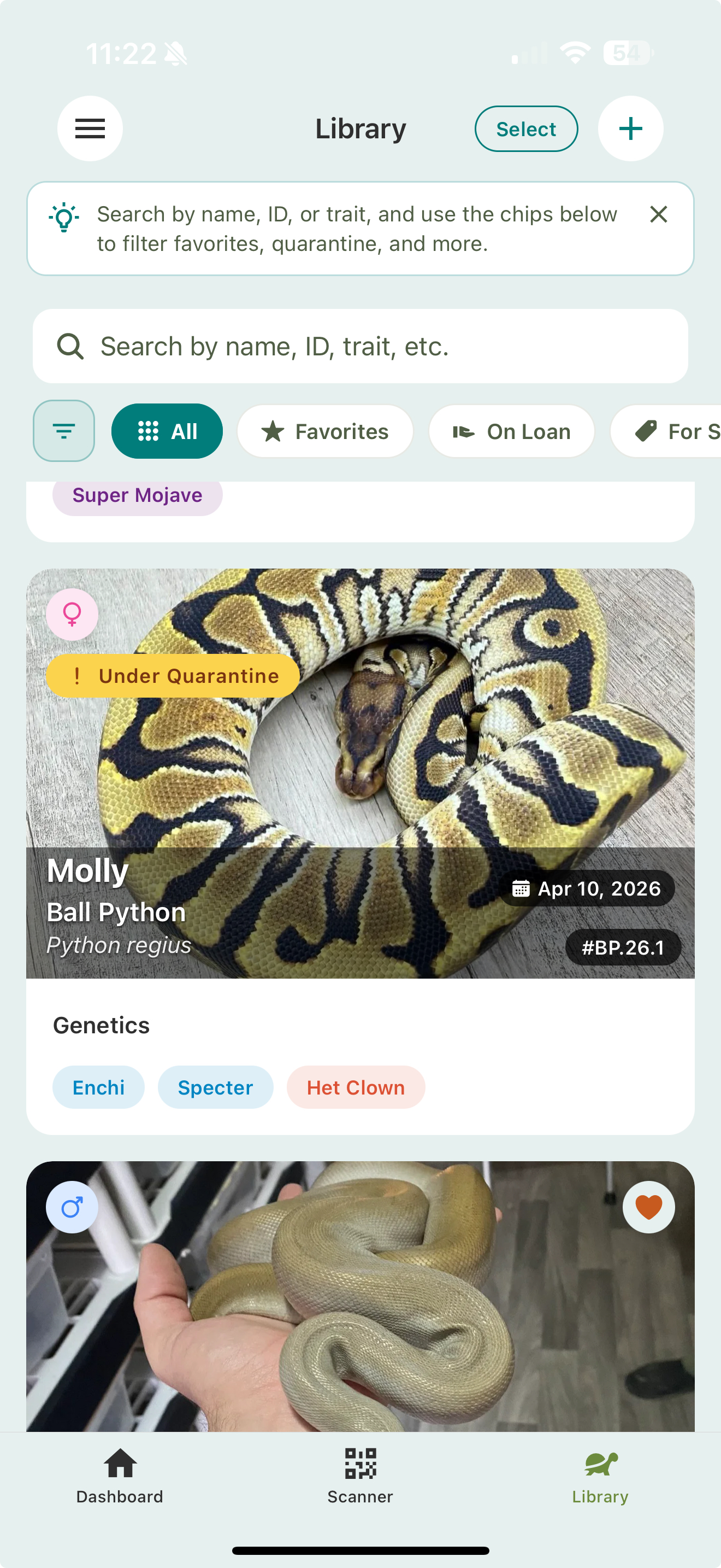 A Library card for an animal named Molly with a yellow Under Quarantine badge in the top corner, above its genetics chips.